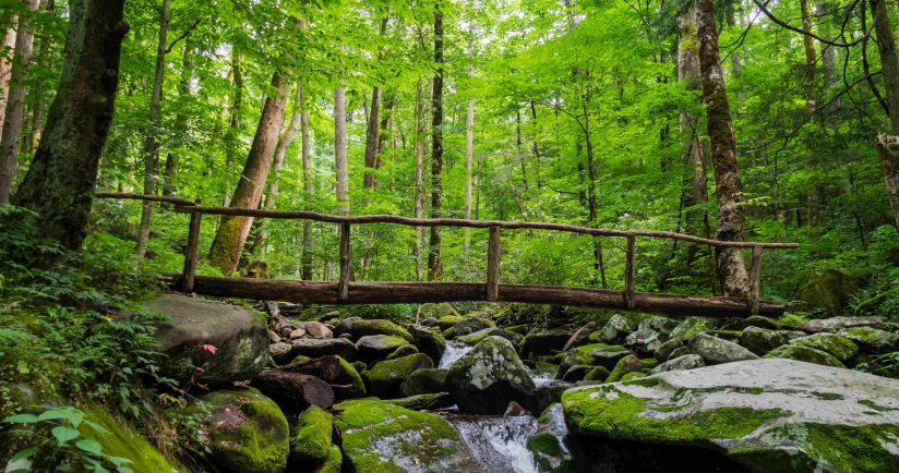 Kultivieren Sie Mitgefühl und Wohlwollen mit der Metta-Meditation